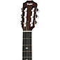 Taylor 312ce-N Grand Concert Nylon-String Acoustic-Electric Guitar Natural