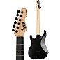 Open Box ESP LTD SN-1000HT Electric Guitar Level 2 Purple Blast, Black Pickguard 197881313364