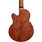 Warwick Alien Deluxe 6-String Acoustic-Electric Bass Natural Hi Polish
