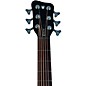 Warwick Alien Deluxe 6-String Acoustic-Electric Bass Natural Hi Polish