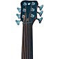 Warwick Alien 6-String Fretless Acoustic-Electric Bass Natural Hi Polish