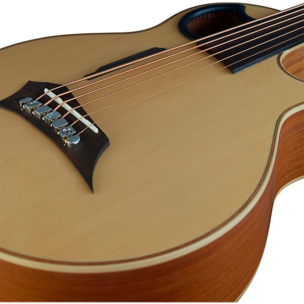 Warwick Alien 6-String Fretless Acoustic-Electric Bass Natural Hi Polish