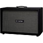 Synergy SYN-212 EXT 120W 2x12 Guitar Extension Speaker Cabinet