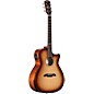 Open Box Alvarez AG610CEAR Grand Auditorium Acoustic-Electric Guitar Level 2 Shadow Burst 190839874030