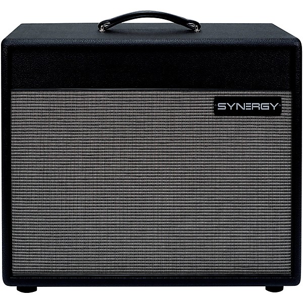 Synergy SYN-112 EXT 65W 1x12 Guitar Extension Speaker Cabinet