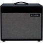 Synergy SYN-112 EXT 65W 1x12 Guitar Extension Speaker Cabinet