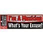 AIM I'm a Musician. What's Your Excuse? Bumper Sticker thumbnail