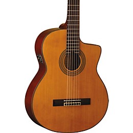 Washburn C64SCE-A Classical Acoustic-Electric Guitar