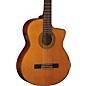 Washburn C64SCE-A Classical Acoustic-Electric Guitar thumbnail