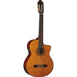 Washburn C64SCE-A Classical Acoustic-Electric Guitar