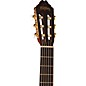 Washburn C64SCE-A Classical Acoustic-Electric Guitar