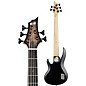 ESP E-II BTL-5 Electric Bass Transparent Black Sunburst