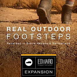 Best Service Real Outdoor Footsteps: EFI Expansion