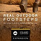 Best Service Real Outdoor Footsteps: EFI Expansion thumbnail