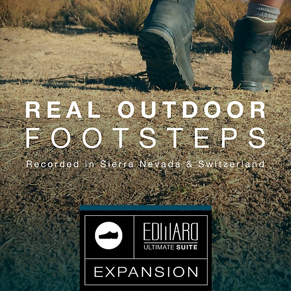 Best Service Real Outdoor Footsteps: EUS Expansion