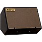 Friedman ASM-10 500W 1x10 Bi-Amp Powered Guitar Monitor thumbnail