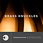 Output Brass Knuckles - Analog Brass & Winds Expansion Pack thumbnail