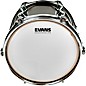 Evans UV2 Coated Drum Head 12 in.