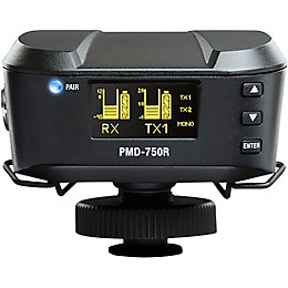 Marantz Professional PMD-750 Wireless Camera-Mount System