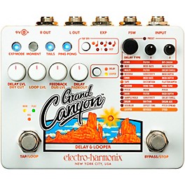 Electro-Harmonix Grand Canyon Delay and Looper Effects Pedal