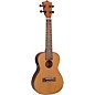 Mitchell MU50SE Acoustic-Electric Concert Ukulele Deluxe Package