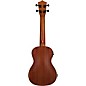Mitchell MU50SE Acoustic-Electric Concert Ukulele Deluxe Package