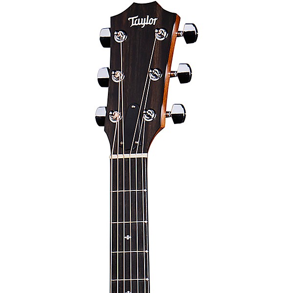 Taylor 224ce-K DLX Special Edition Grand Auditorium Acoustic-Electric Guitar Natural