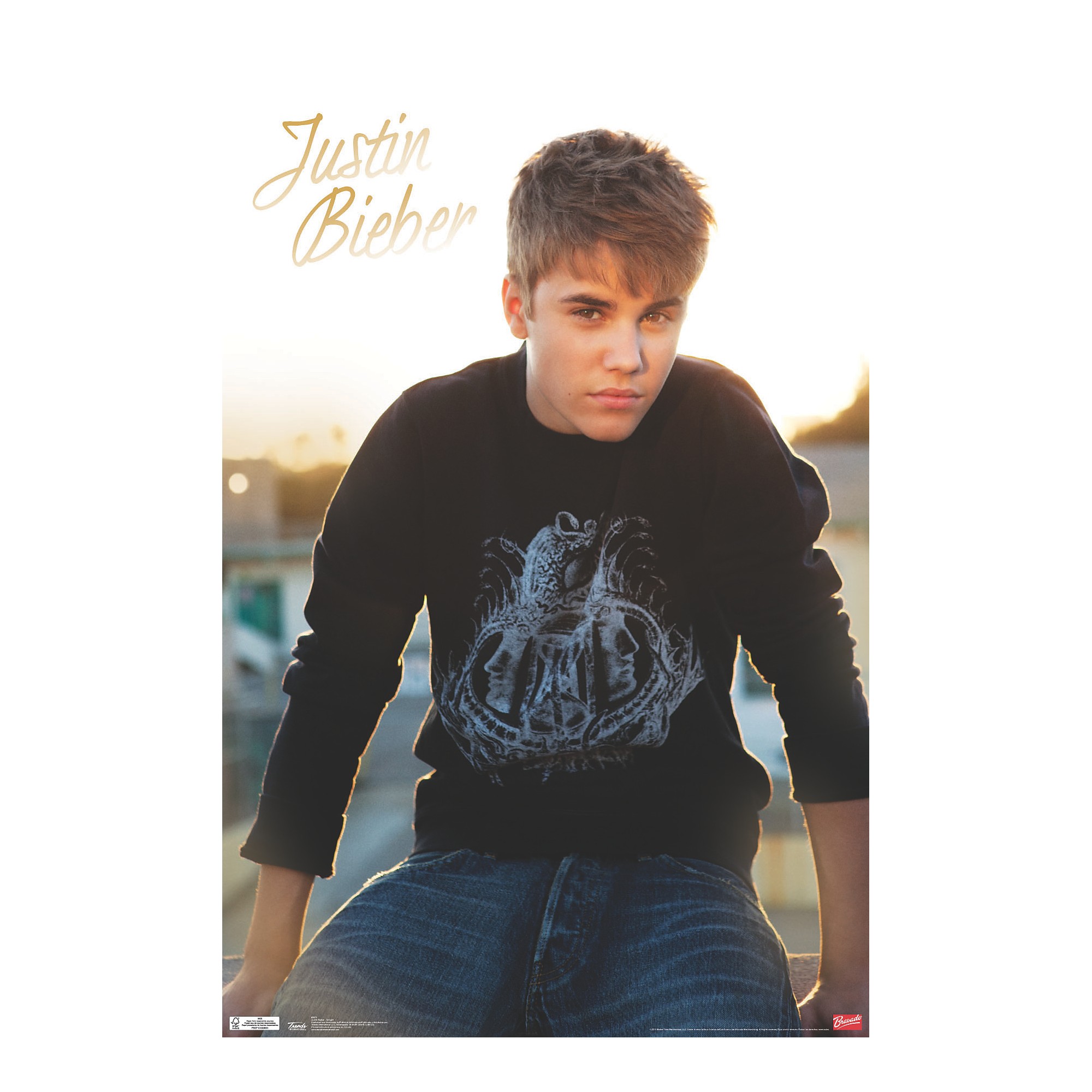 Trends International Justin Bieber - Twilight Poster Premium Unframed |  Guitar Center