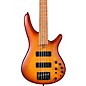 Ibanez SR500E 5-String Electric Bass Guitar Light Violin Sunburst Flat thumbnail
