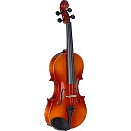 Stagg VN-L Series Student Violin Outfit 4/4
