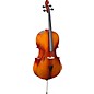 Stagg VNC-L Series Student Cello Outfit 3/4 thumbnail