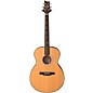 Open Box PRS SE TE55 Acoustic-Electric Guitar Level 1 Abaco Green