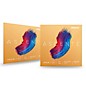 D'Addario Ascente Violin String Set 2 Box Special 4/4 Size, Medium thumbnail
