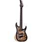 Schecter Guitar Research Reaper-7 MS 7-String Multiscale Electric Guitar Charcoal Burst