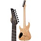 Schecter Guitar Research Reaper-7 MS 7-String Multiscale Electric Guitar Charcoal Burst