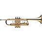 Stagg WS-TR255 Series C Trumpet Clear Lacquer thumbnail