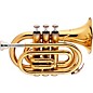 Stagg WS-TR245 Series Bb Pocket Trumpet Clear Lacquer thumbnail