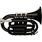 Stagg WS-TR245 Series Bb Pocket Trumpet Black thumbnail
