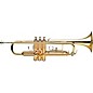 Stagg WS-TR215 Series Student Bb Trumpet Clear Lacquer Yellow Brass Bell thumbnail