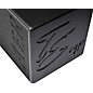 Open Box AER Compact 60/4 TE 60W 1x8 Acoustic Guitar Combo Amp Level 1 Black