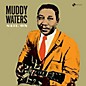 Muddy Waters - Sail On thumbnail