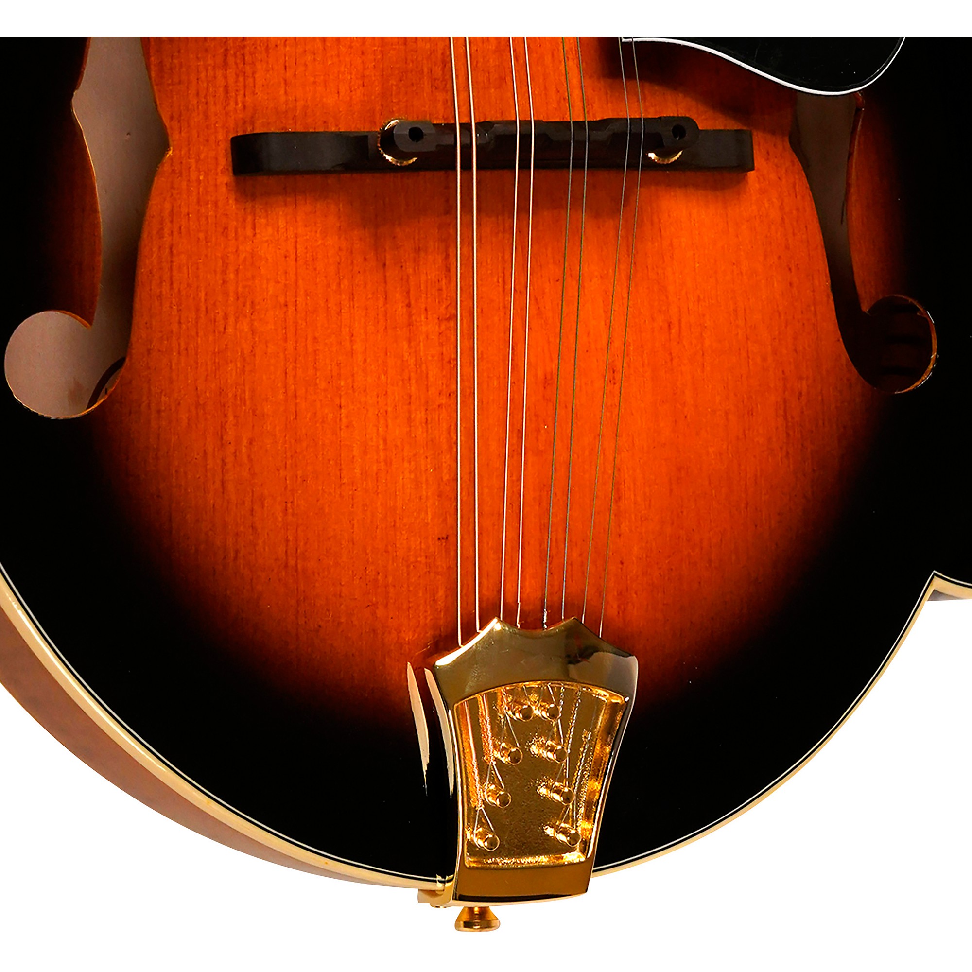 Amazon.com: Gold Tone GM-70 F-Style Mandolin (Two Tone Tobacco) : Musical  Instruments