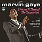 Marvin Gaye - I Heard It Through The Grapevine thumbnail