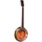 Gold Tone GT-750 Banjitar Deluxe With Maple Resonator thumbnail