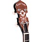 Gold Tone IT-250F 4-String Irish Tenor Resonator Banjo