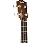 Taylor GS Mini-e Acoustic-Electric Bass Maple Natural