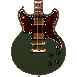 D'Angelico Deluxe Series Brighton Electric Guitar With Stopbar Tailpiece Hunter Green