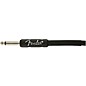 Fender Professional Series Straight to Straight Instrument Cable 10 ft. Black