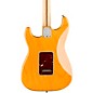 Open Box Fender Lightweight Ash American Professional Stratocaster Electric Guitar Level 2 Aged Natural 190839876164