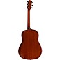Taylor Builder's Edition 517 Grand Pacific Dreadnought Acoustic Guitar Natural